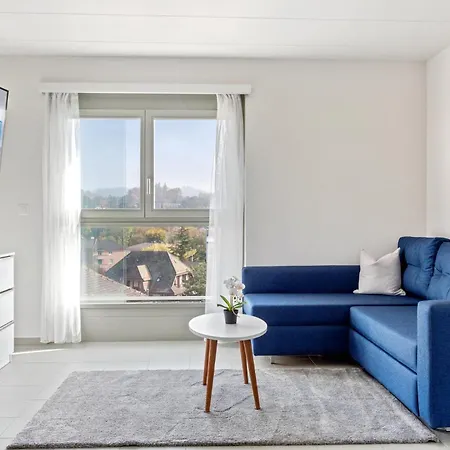 Berne 2 - Self Check In By Homenhancement 公寓 洛桑